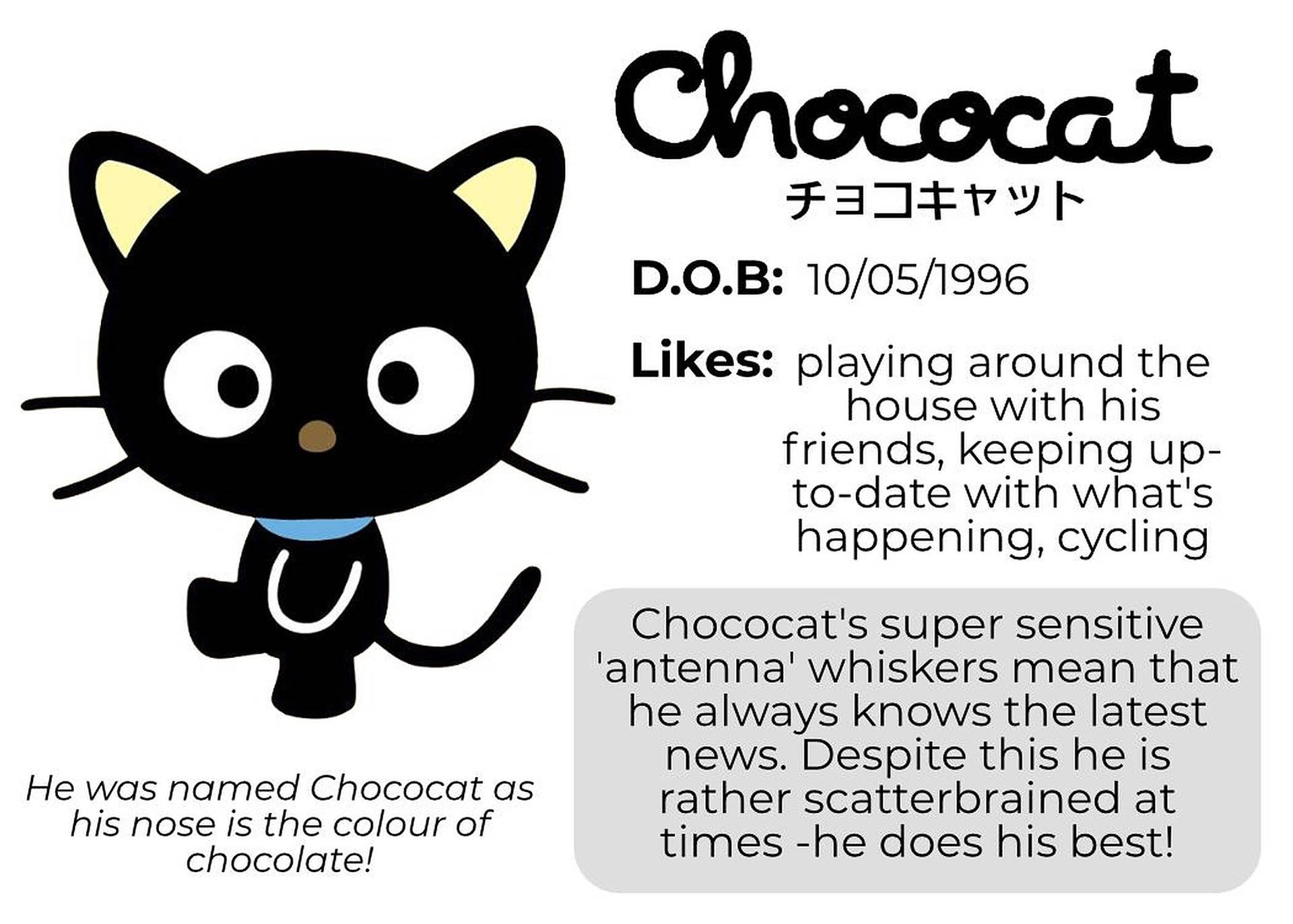 Adorable Chococat Image In High Definition Background