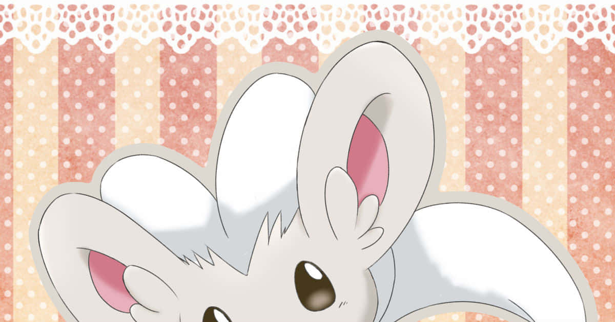 Adorable Cinccino Illustration With Lace Border Background