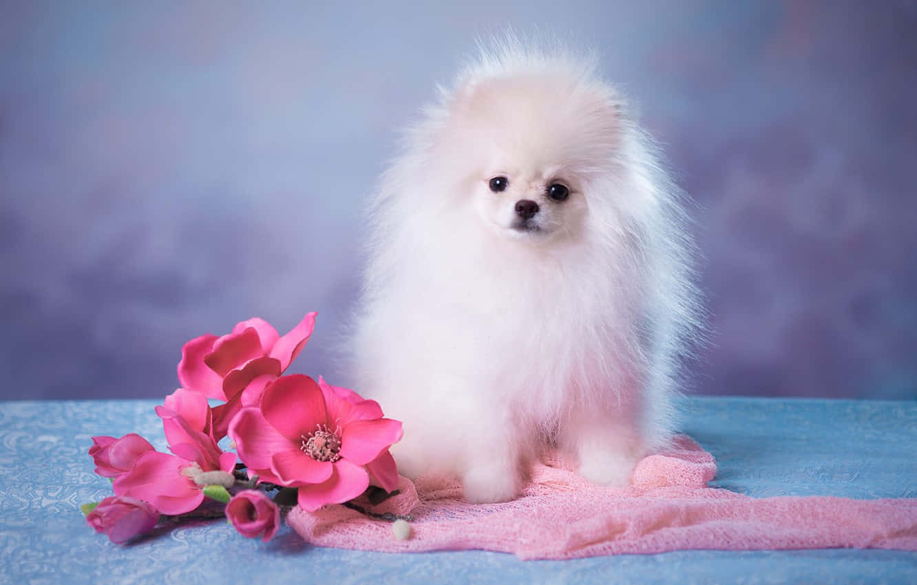 Adorable Group Of Pink Puppies Background