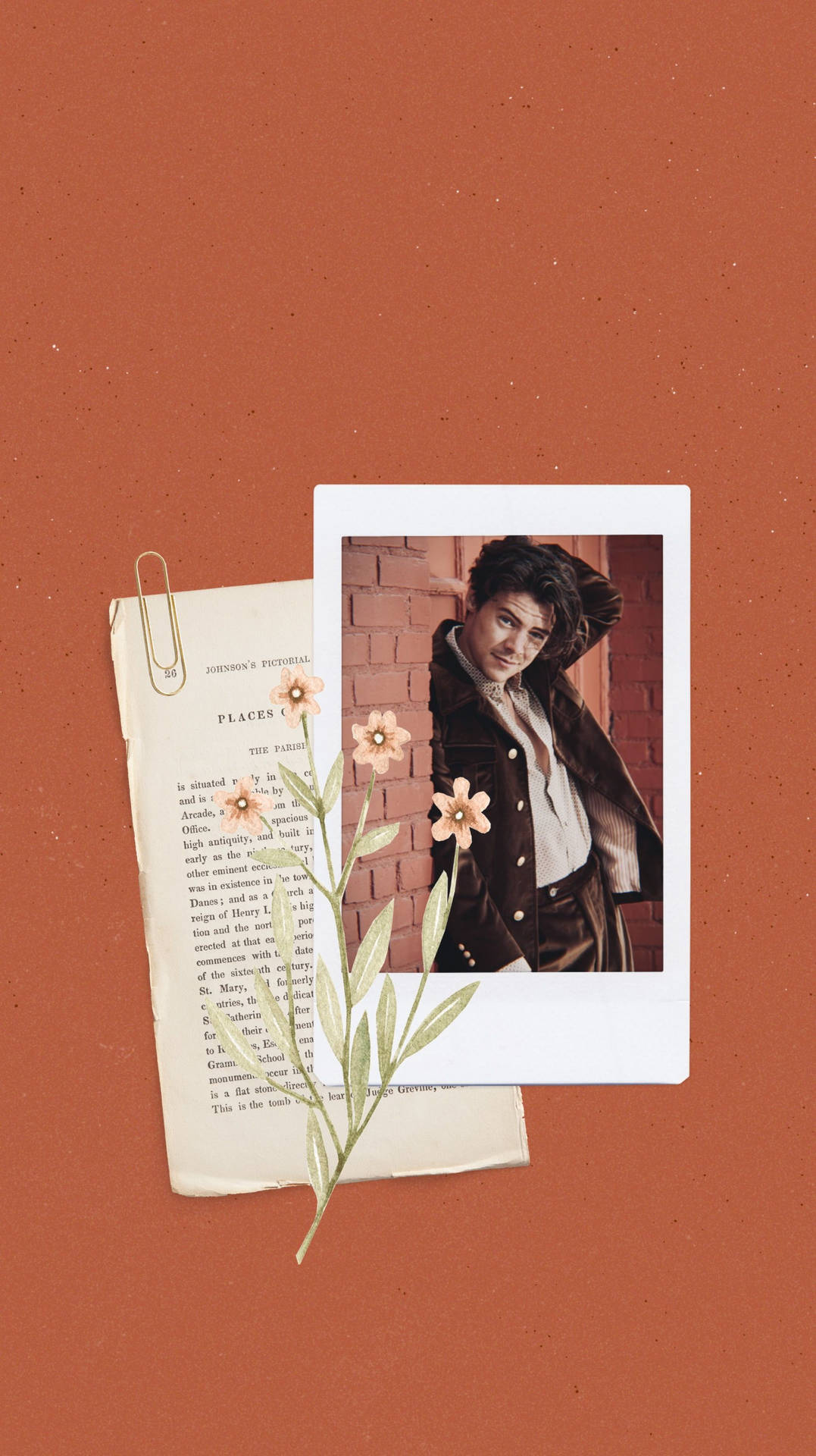 Adorable Harry Styles Aesthetic Display Background