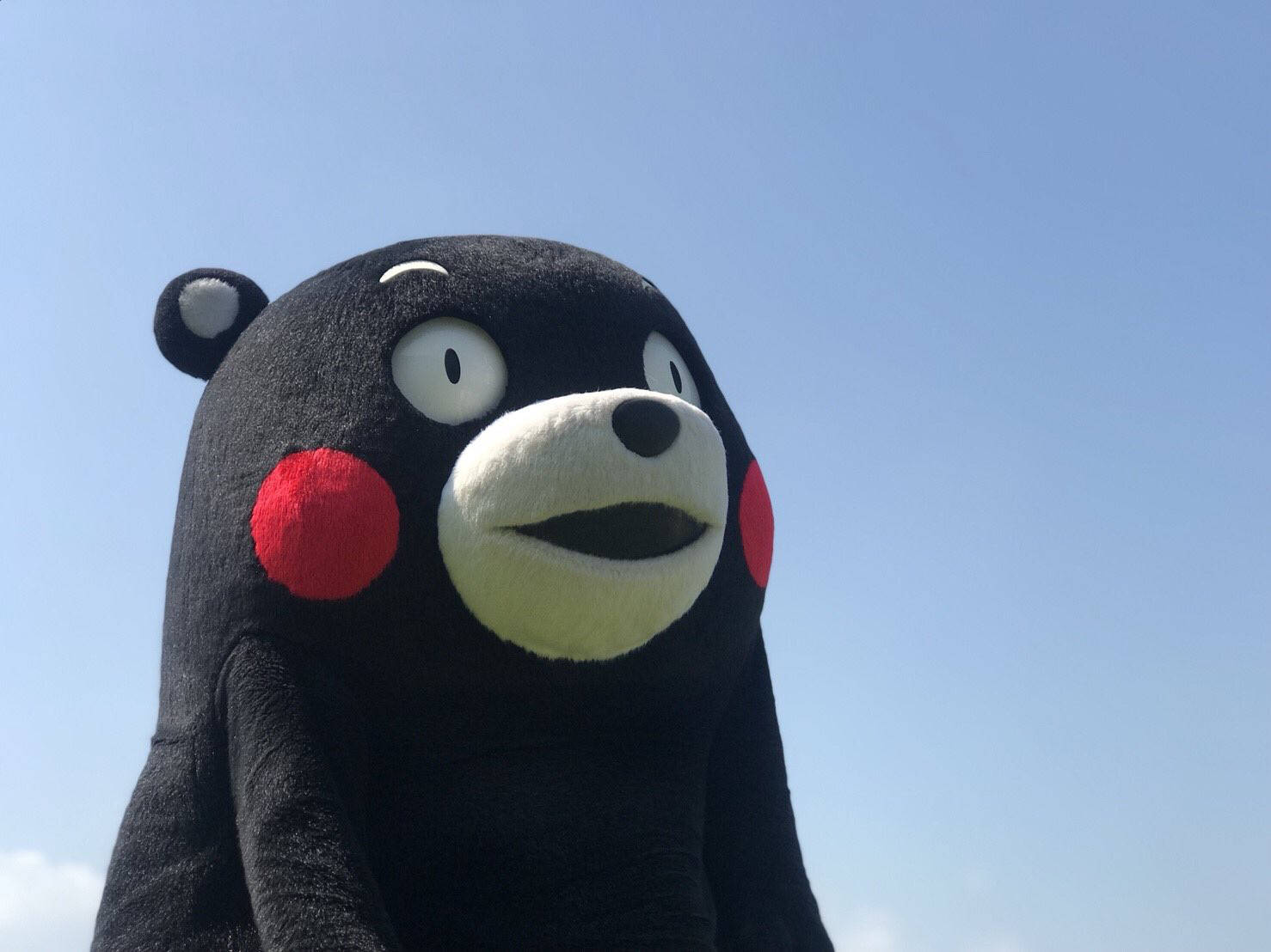 Adorable Kumamon Mascot Background