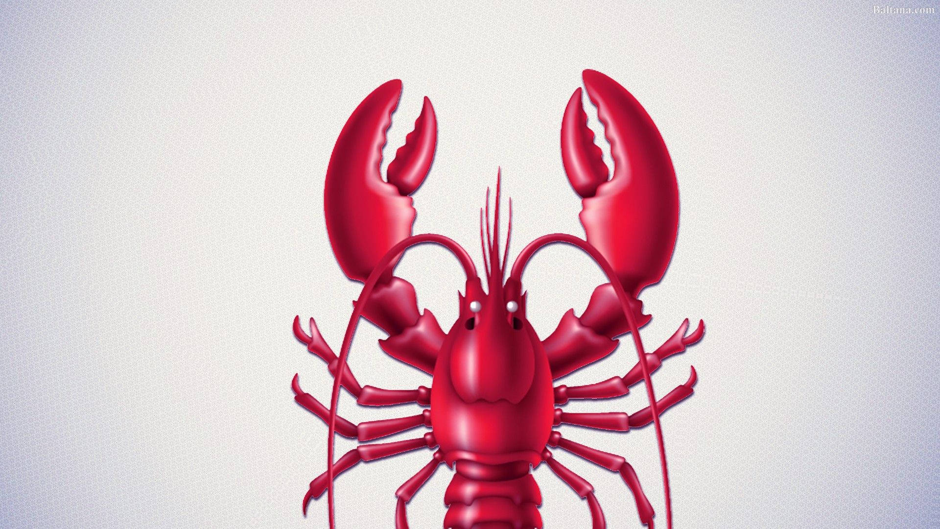 Adorable Lobster Illustration Background