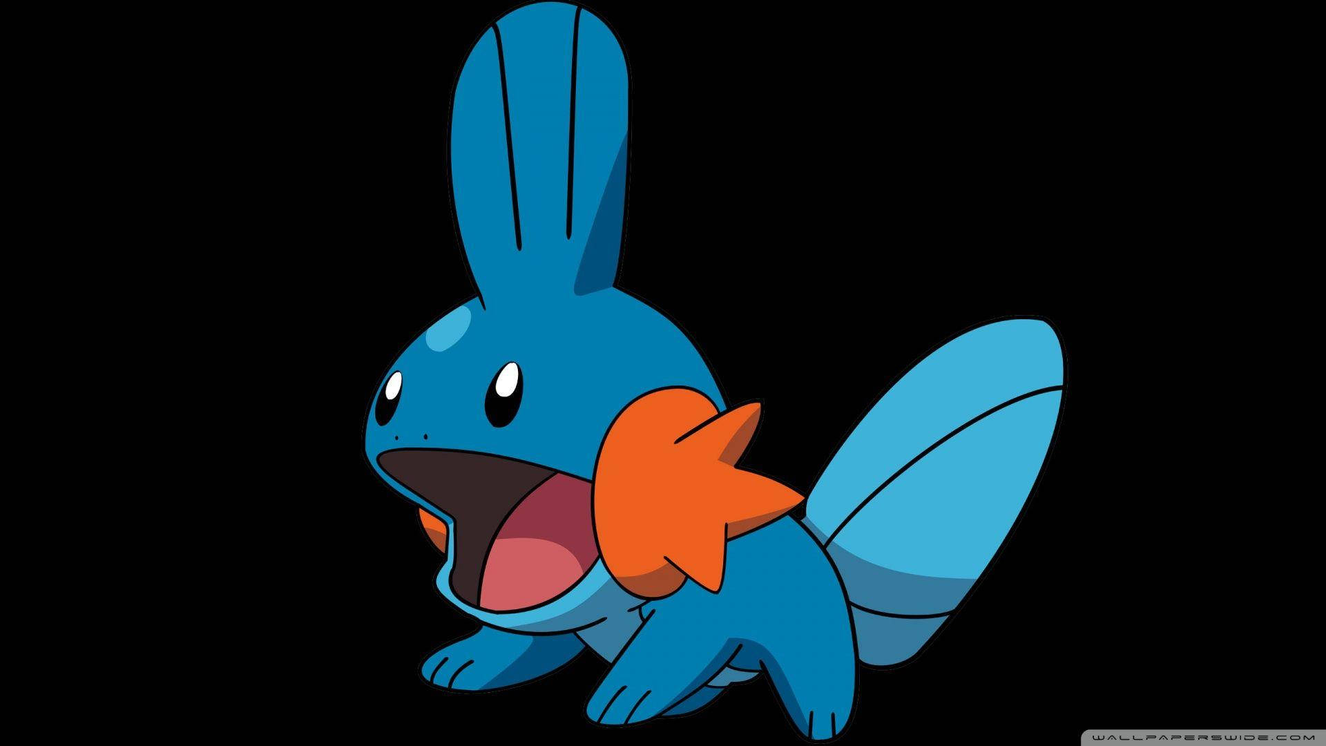 Adorable Mudkip In Pokemon World