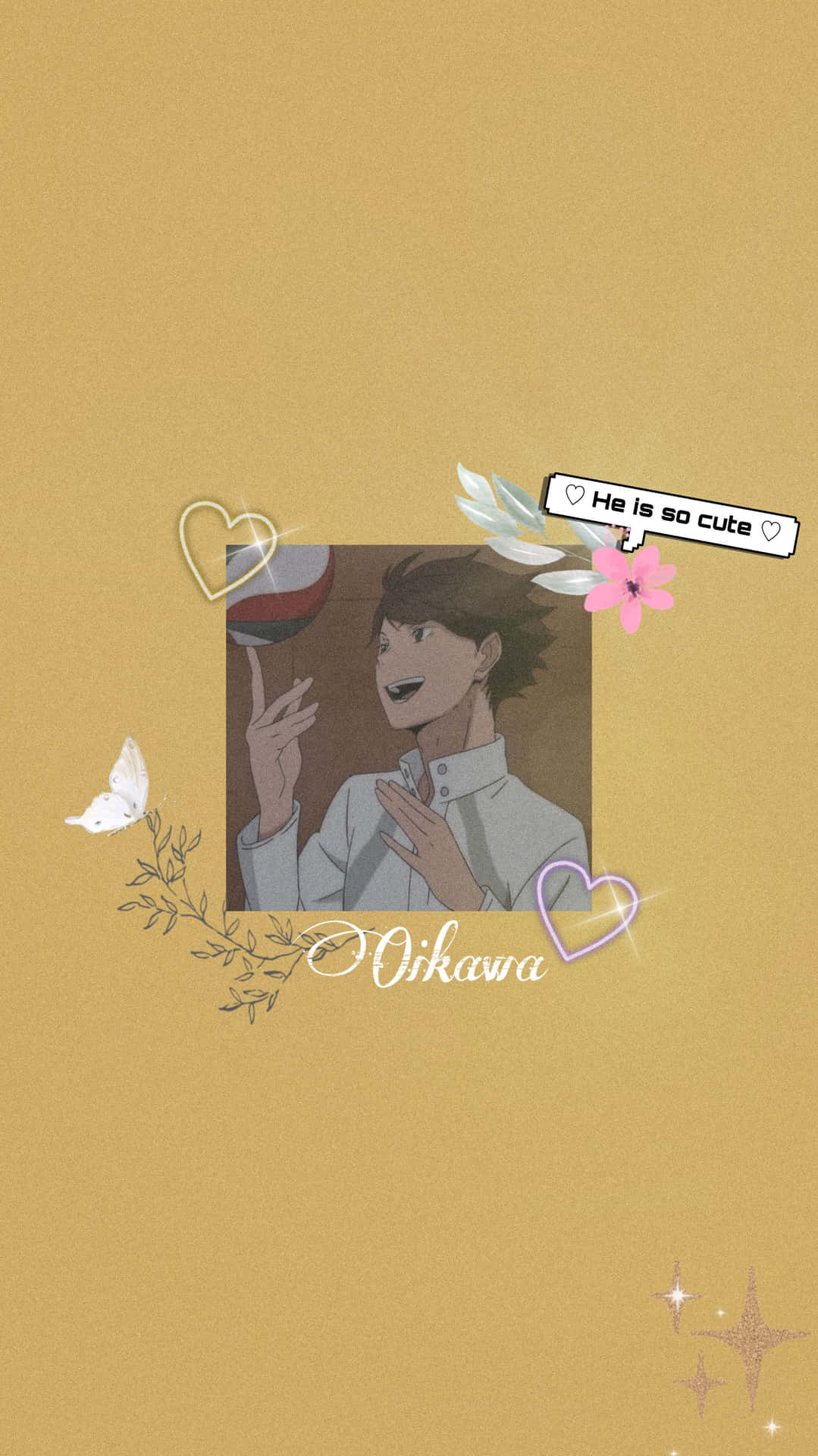 Adorable Oikawa Haikyuu Aesthetic Background