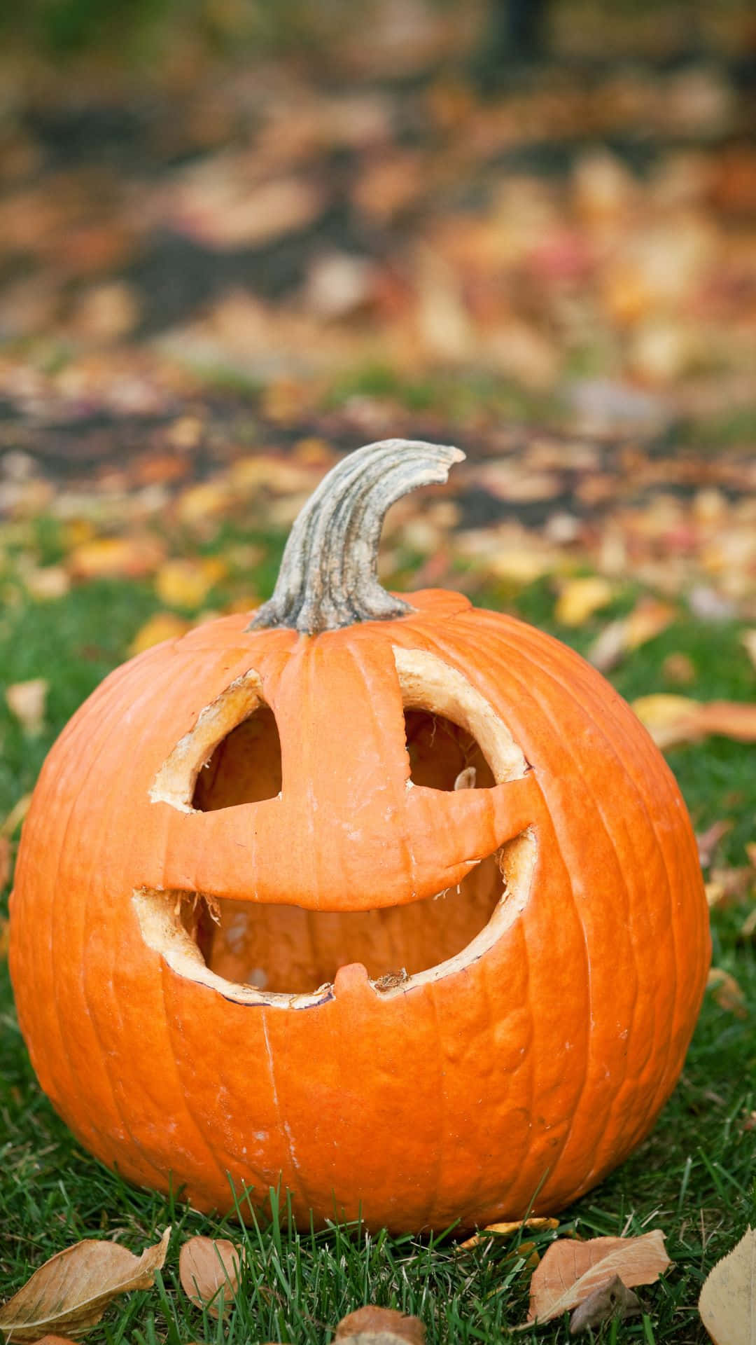 Adorable Orange Pumpkin With A Smiling Face Background