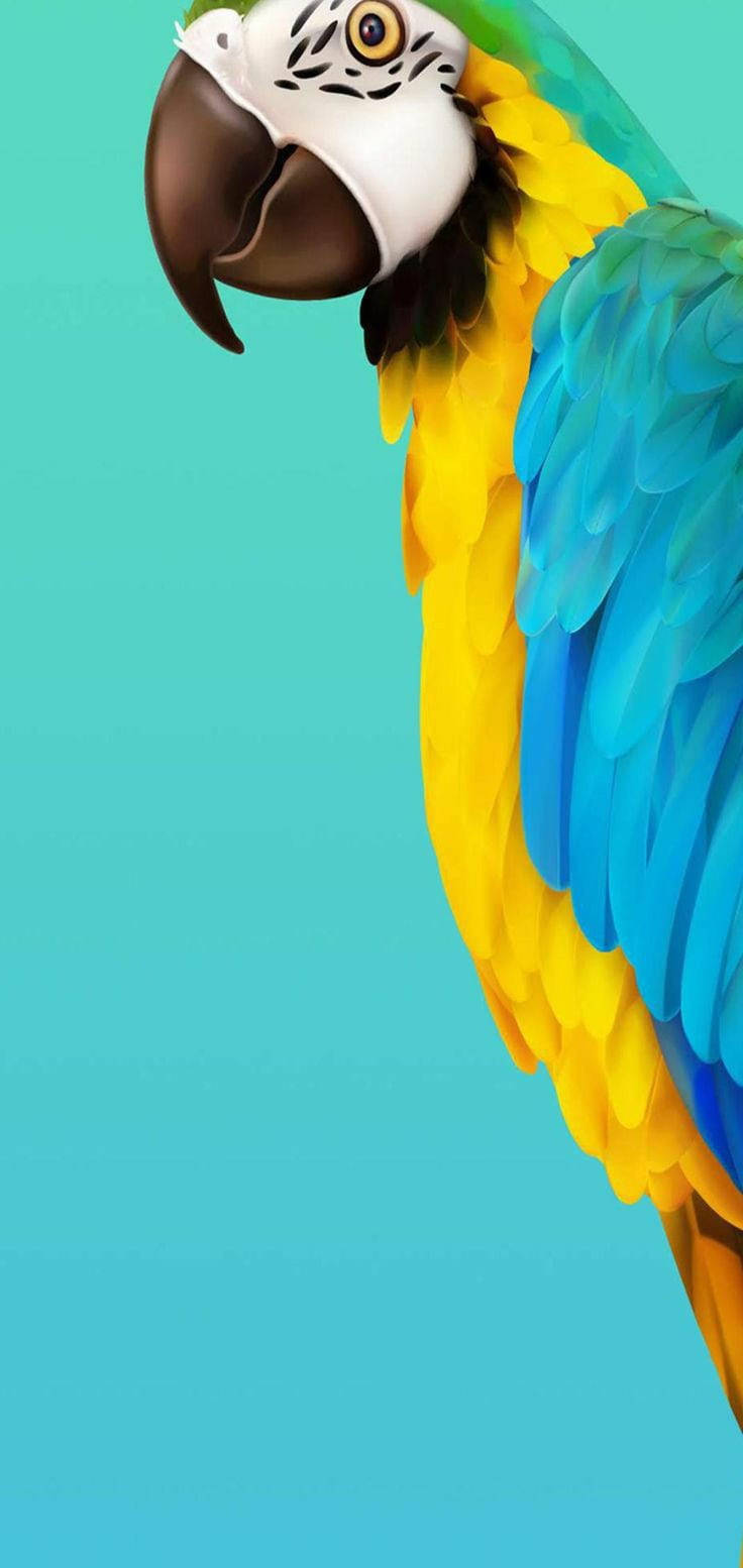 Adorable Parrot Art Android Phone