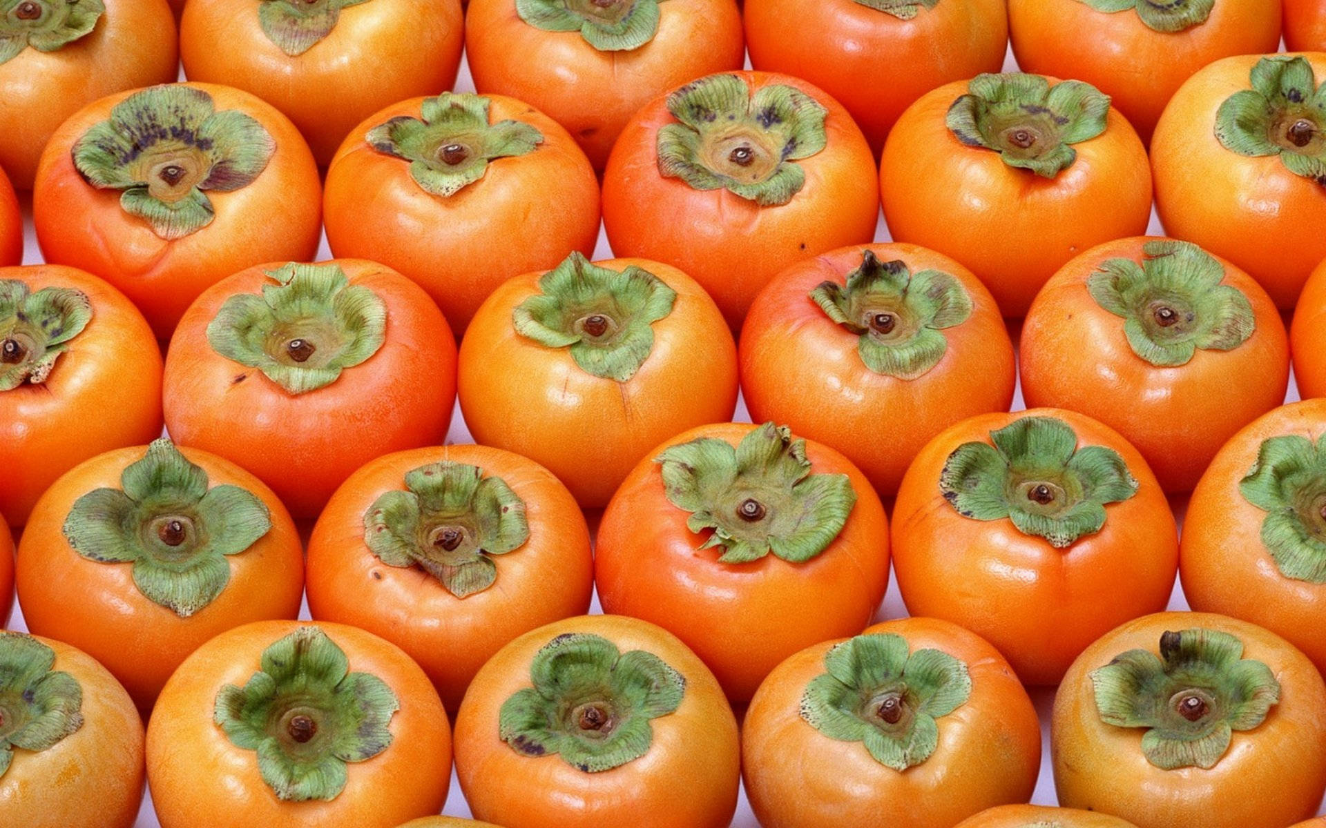 Adorable Persimmon Fruit Background