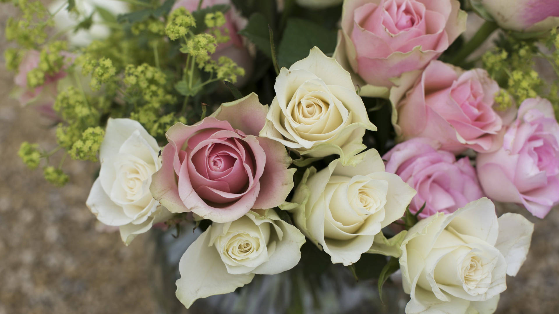 Adorable Pink And White Roses Background