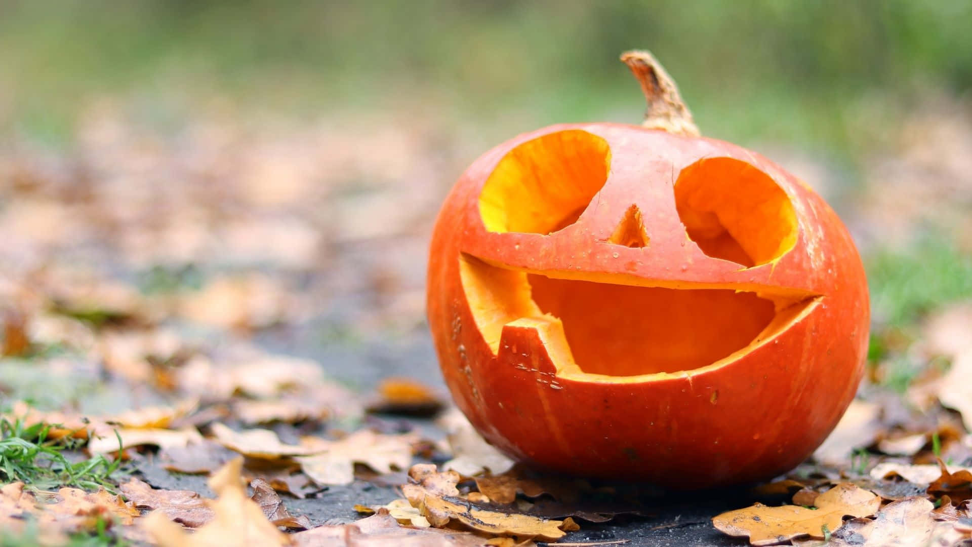 Adorable Pumpkin With Smiling Face Background