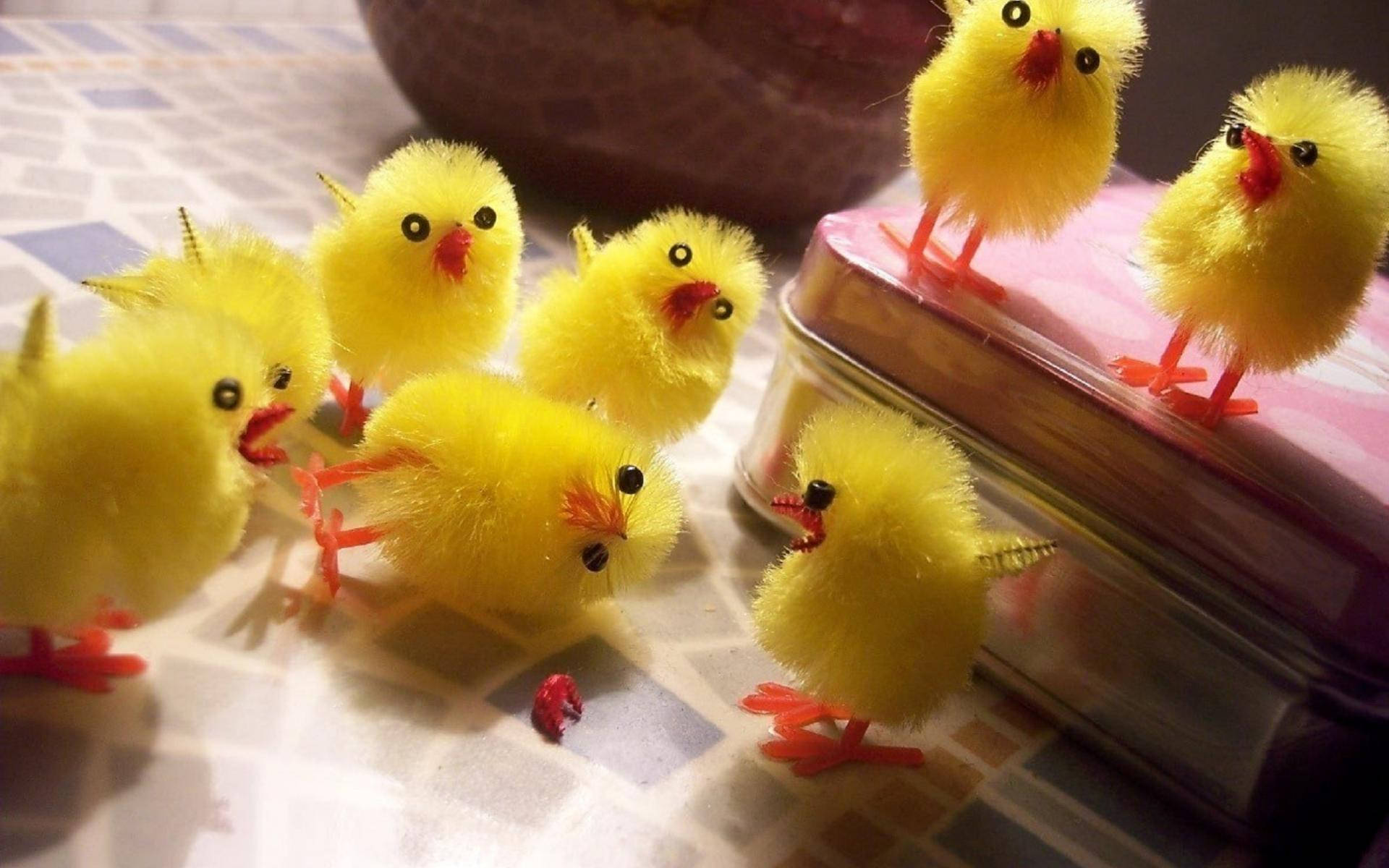 Adorable Red Beak Chick Background