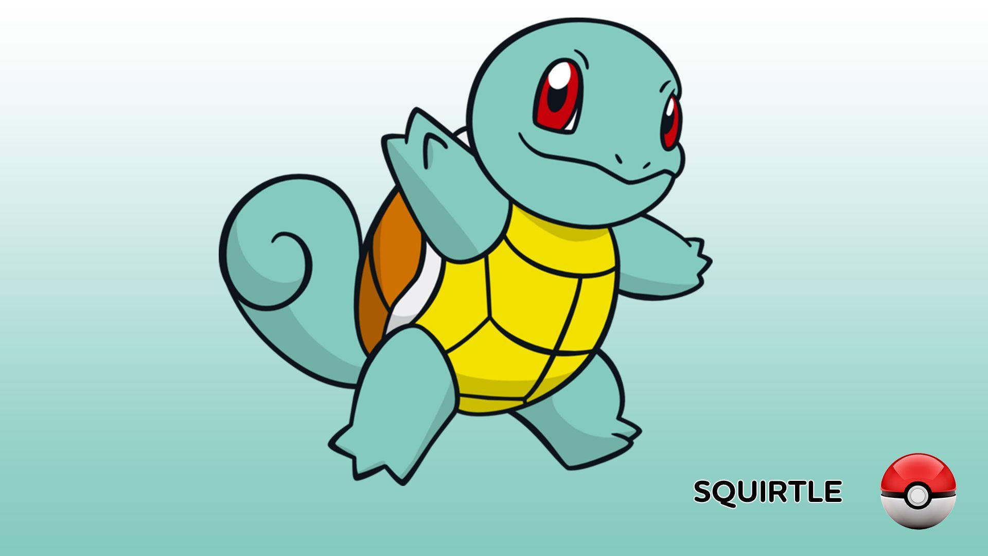 “adorable Squirtle” Background