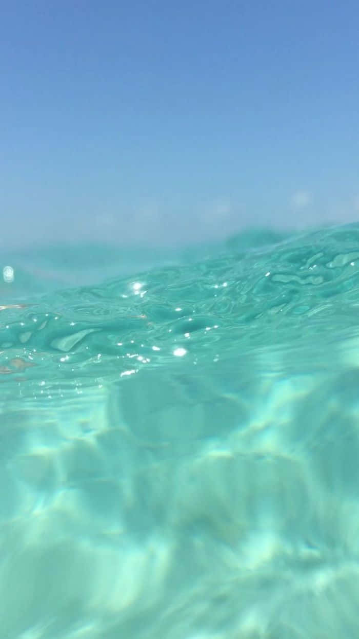 Adorable Underwater Picnic Background