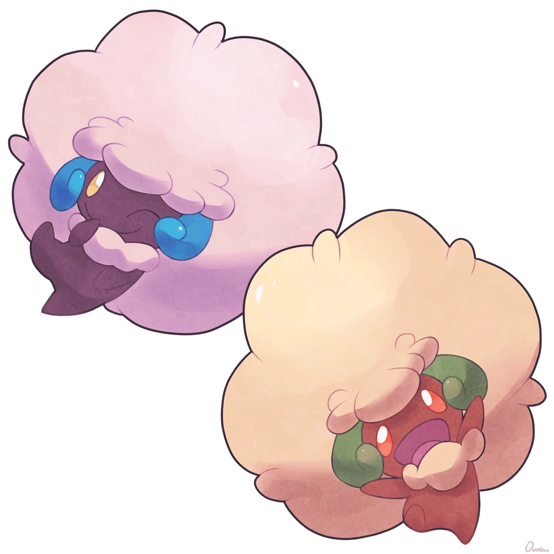 Adorable Whimsicott
