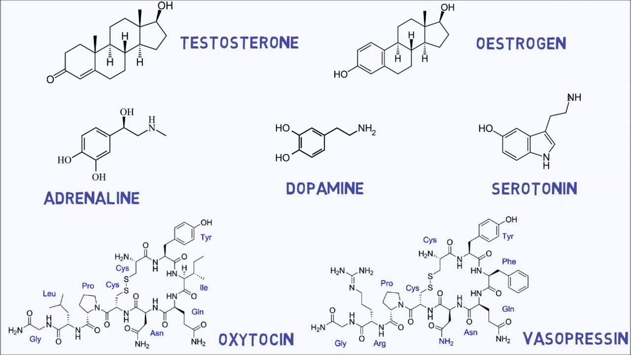 Adrenaline Dopamine Chemistry Formula