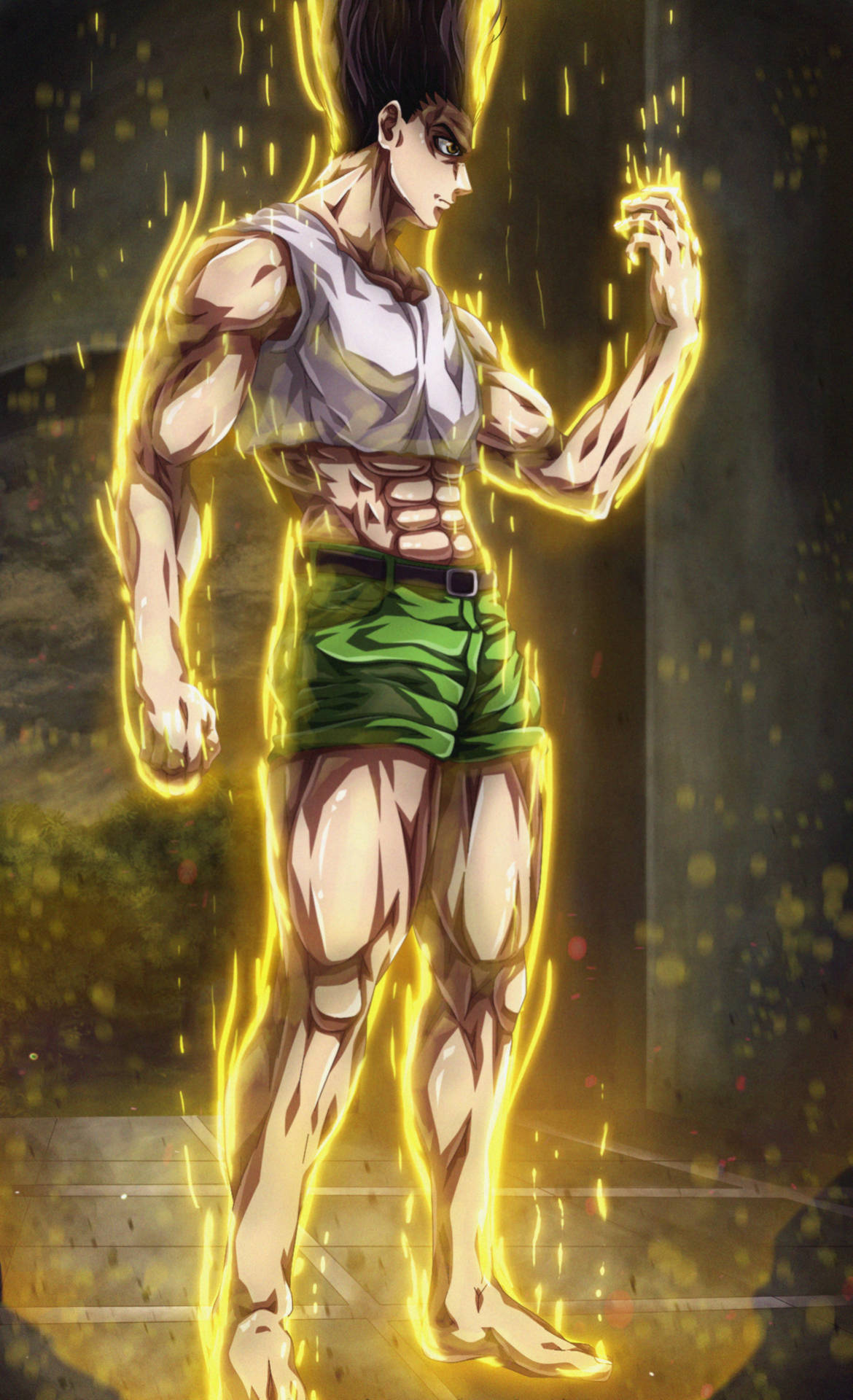 Adult Gon Transformation Background