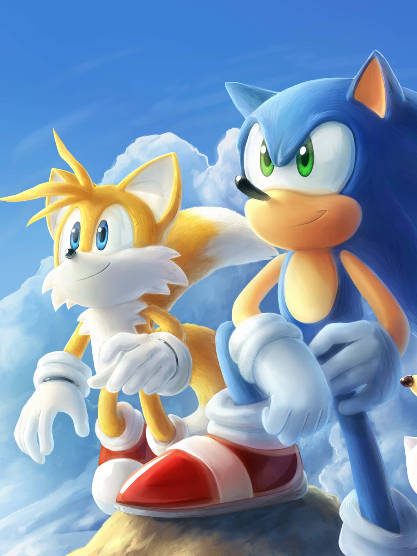 Tails Backgrounds