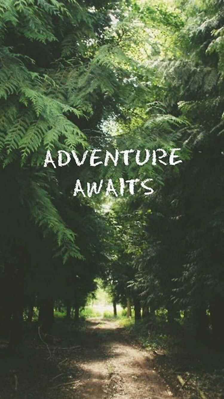 Adventure Awaits Quote Graphics Background