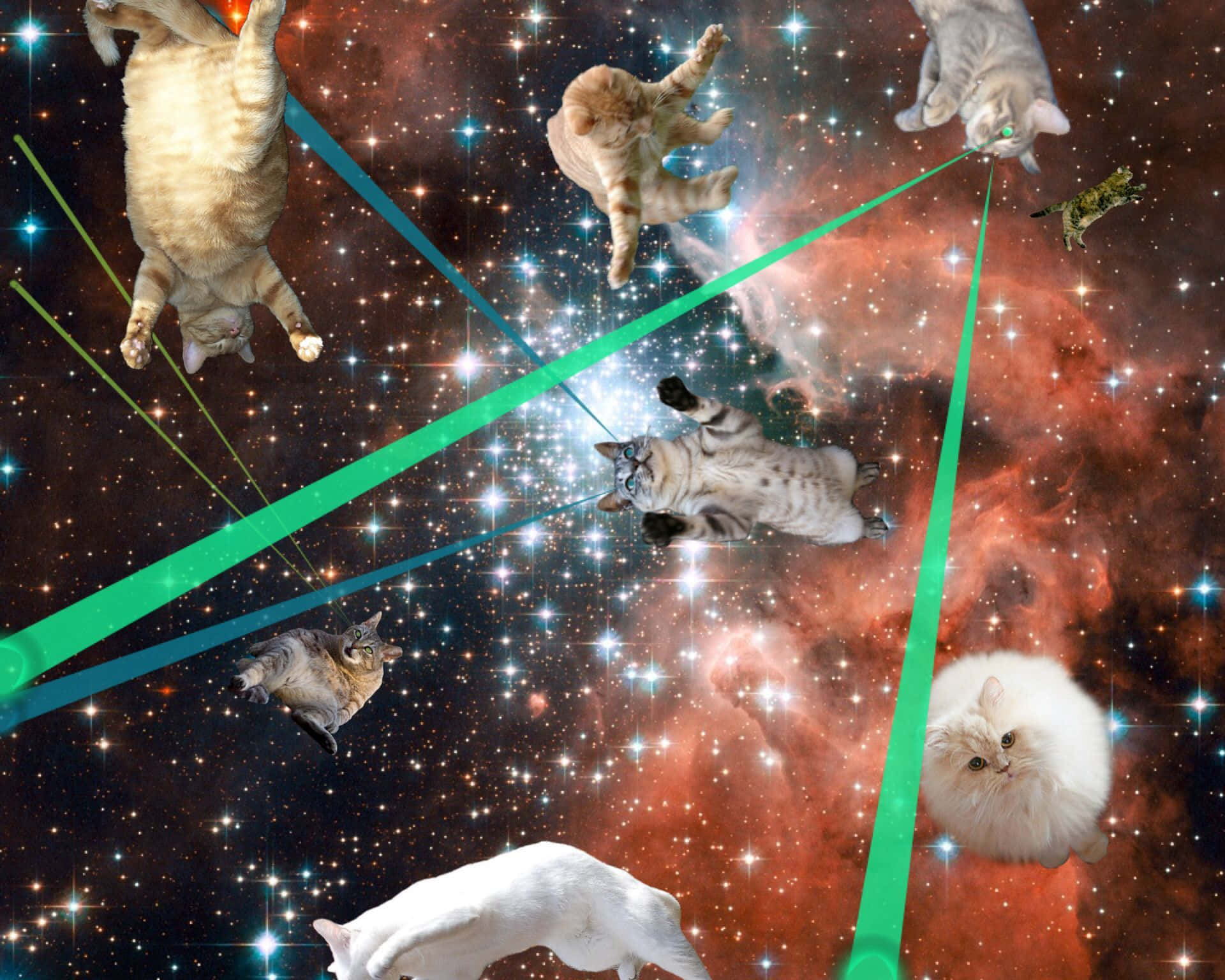 • Adventure, Exploration, And Now #space For Cats Everywhere! Background