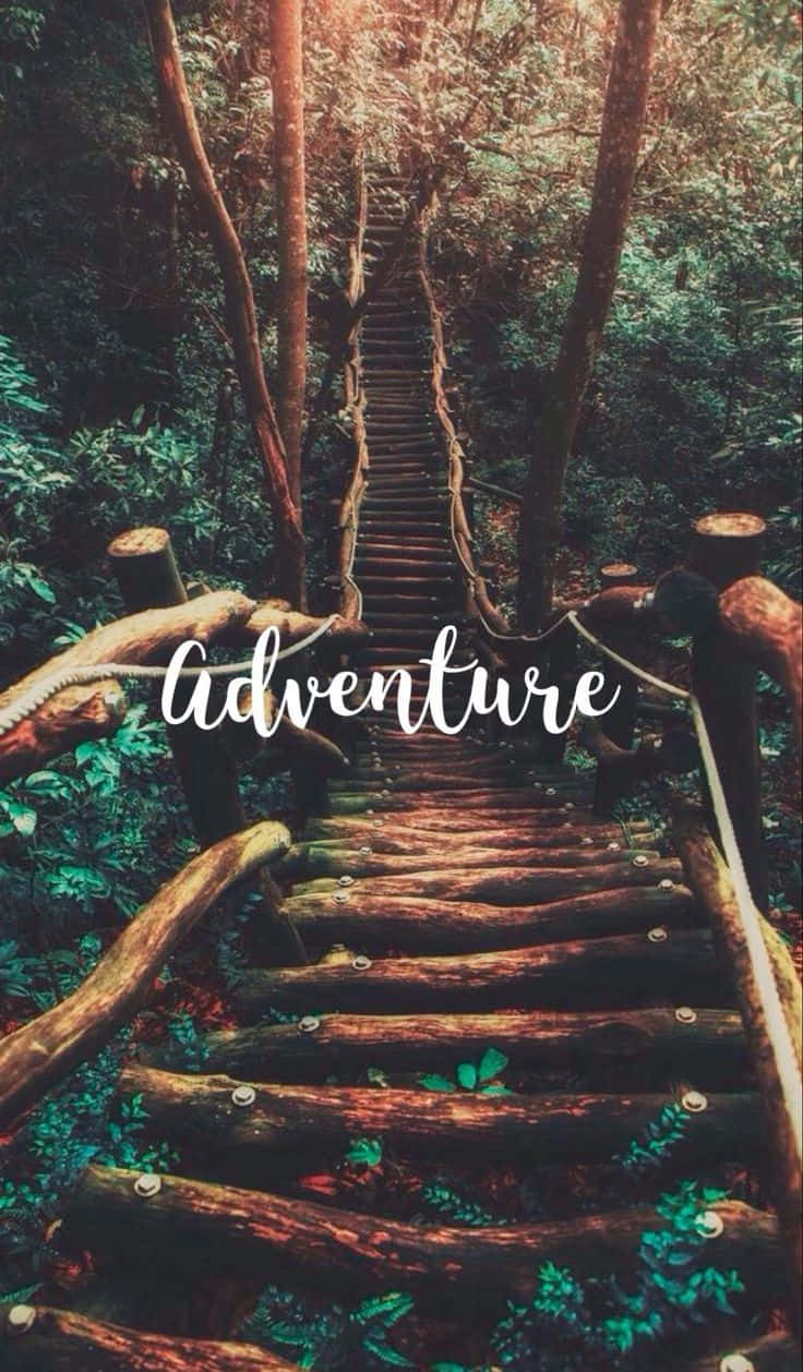 Adventure In The Woods Background