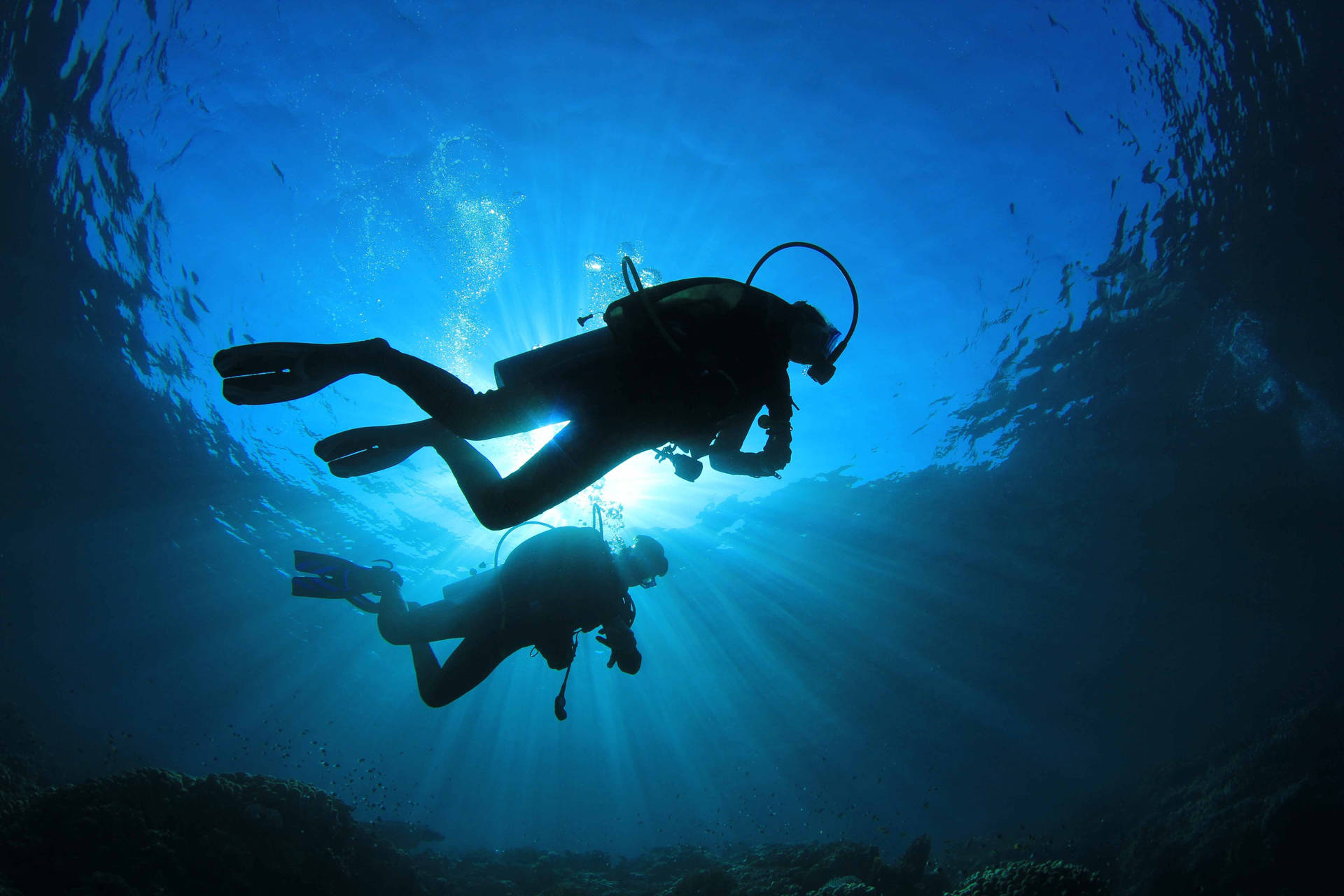 Adventurous Scuba Divers Exploring The Blue Depths Background