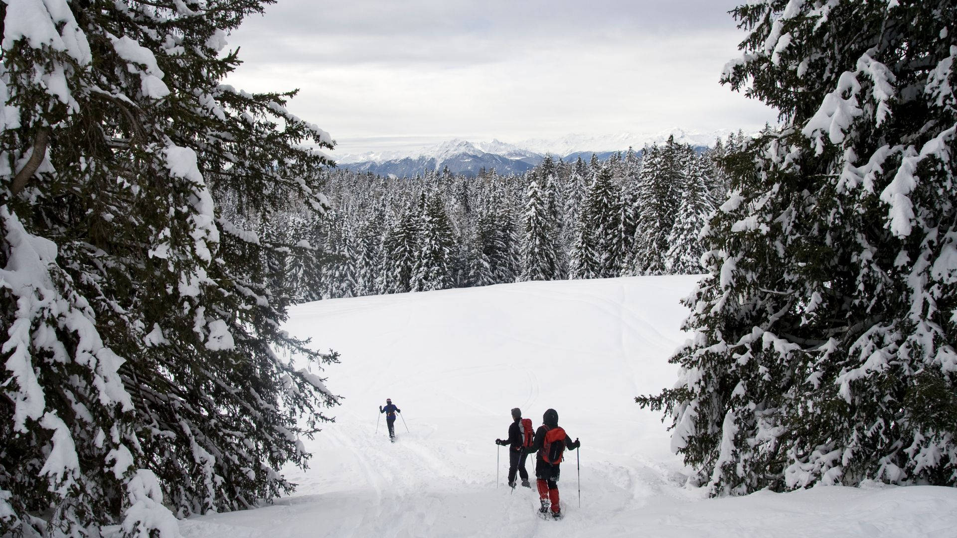 Adventurous Snowshoeing Expedition In Snowy Mountains Background