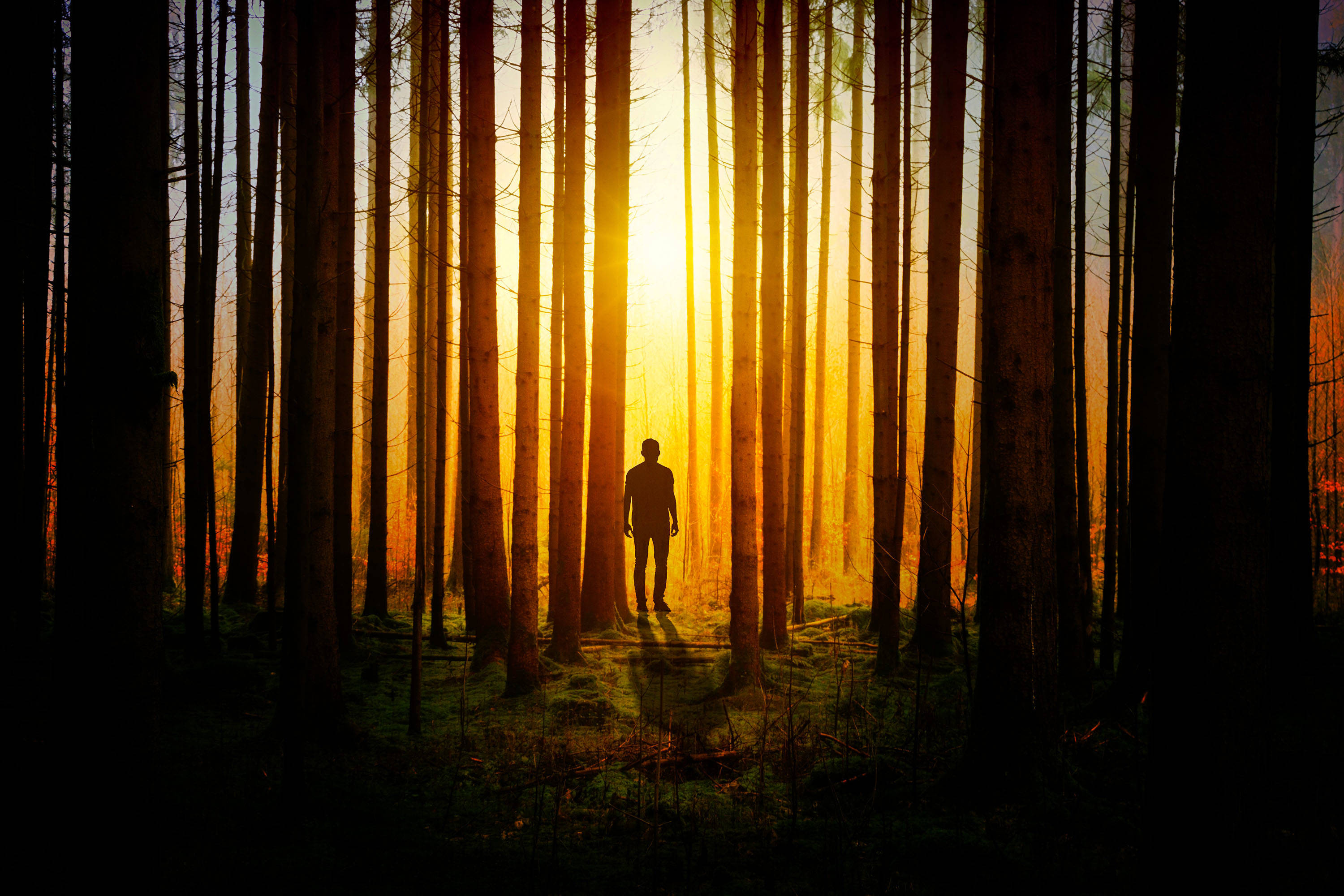 Adventurous Solitude - Man Using Phone In Wilderness Background