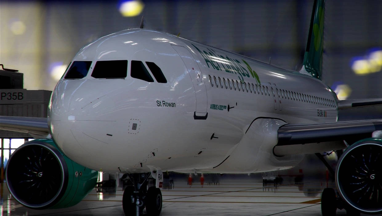 Aer Lingus Aviation Plane In Maintenance