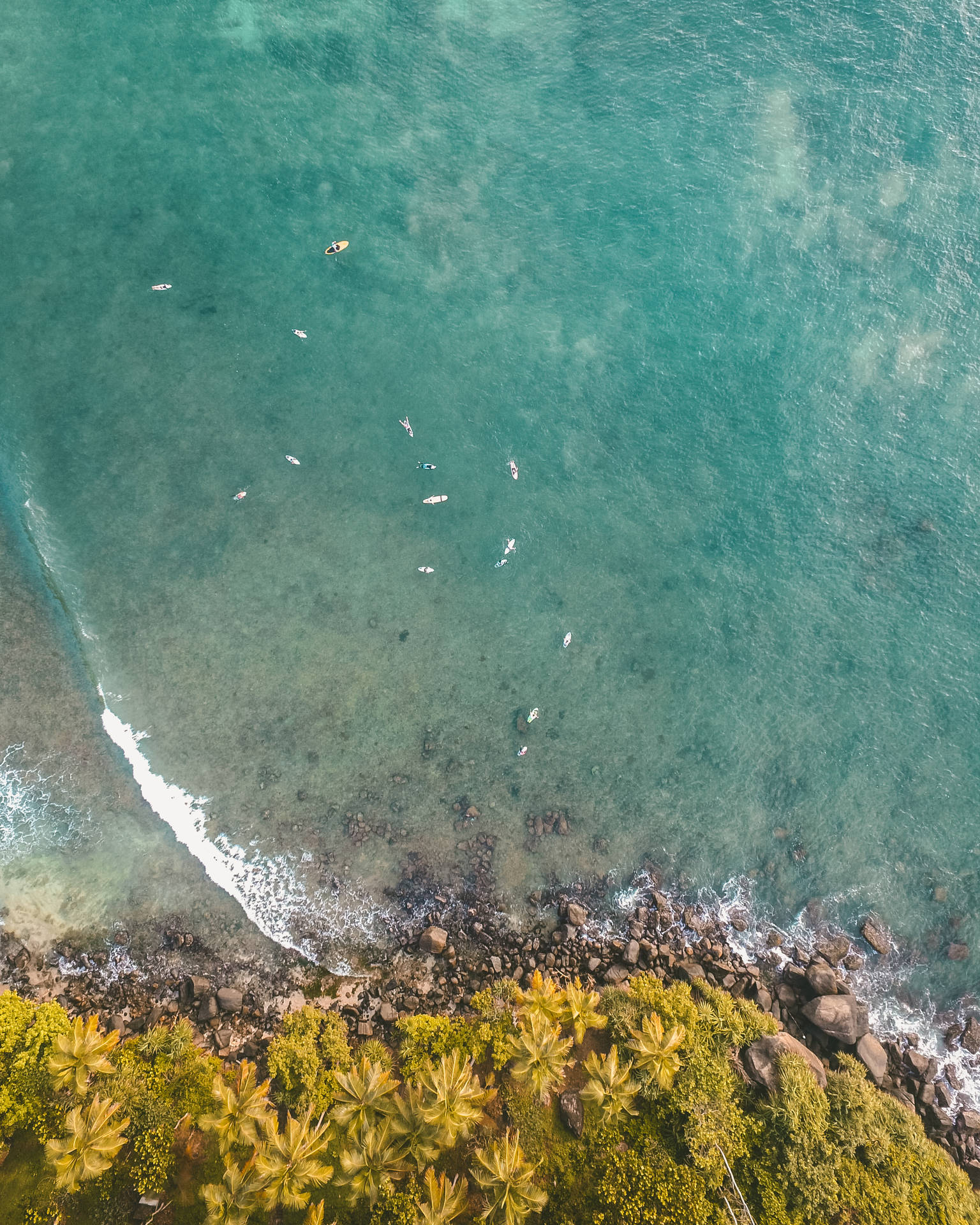 Aerial Beach Nature Scenery Portrait