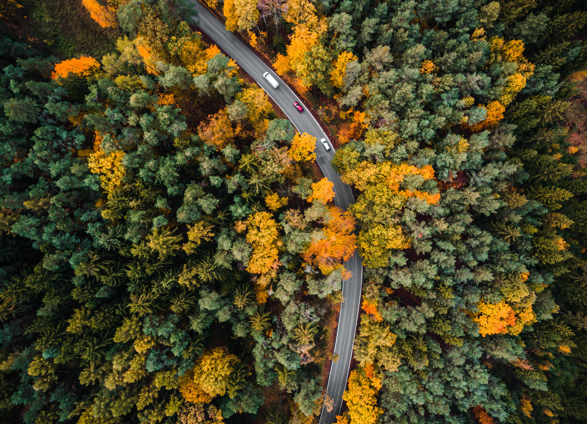 Aerial Forest Road Shot Best Autumn Background