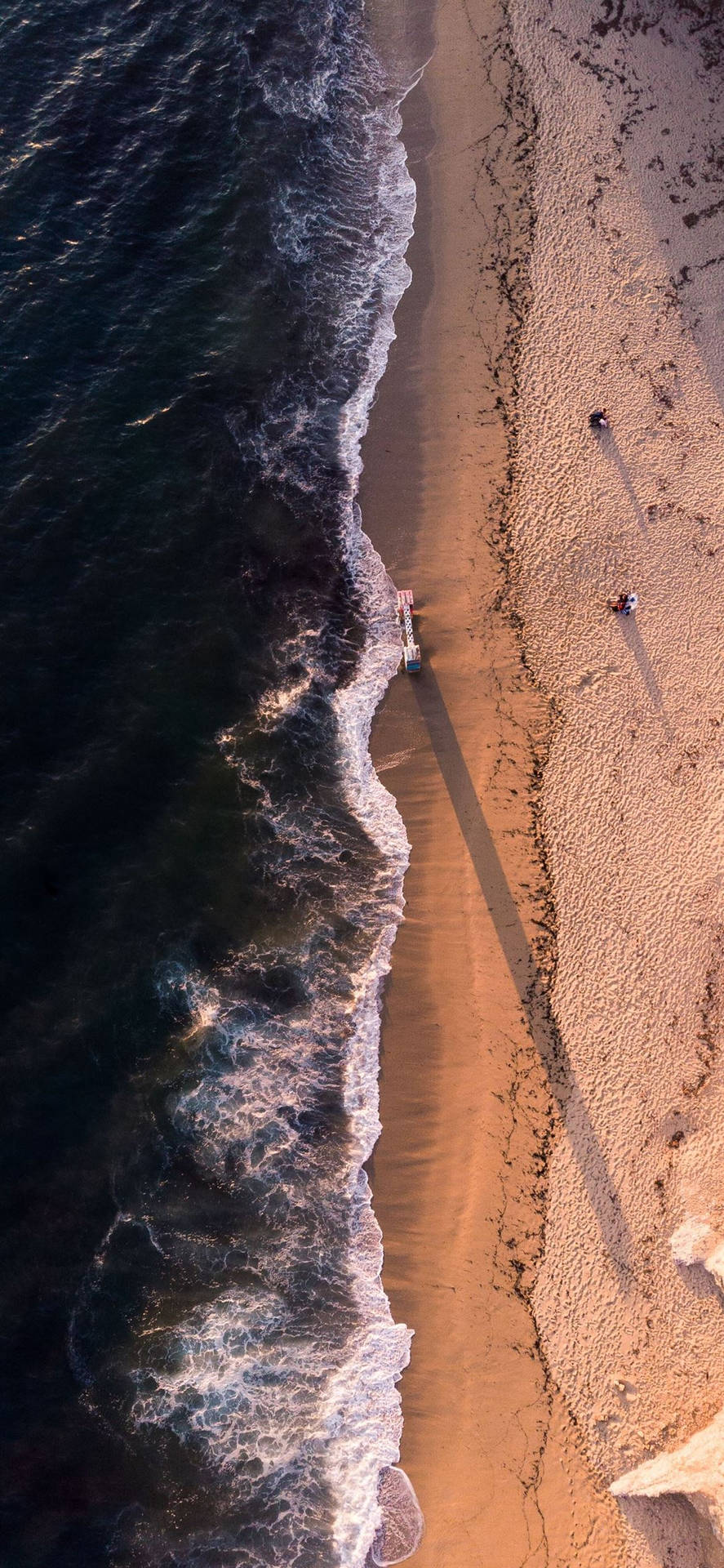 Aerial Shot Of A Couple At Beach Background