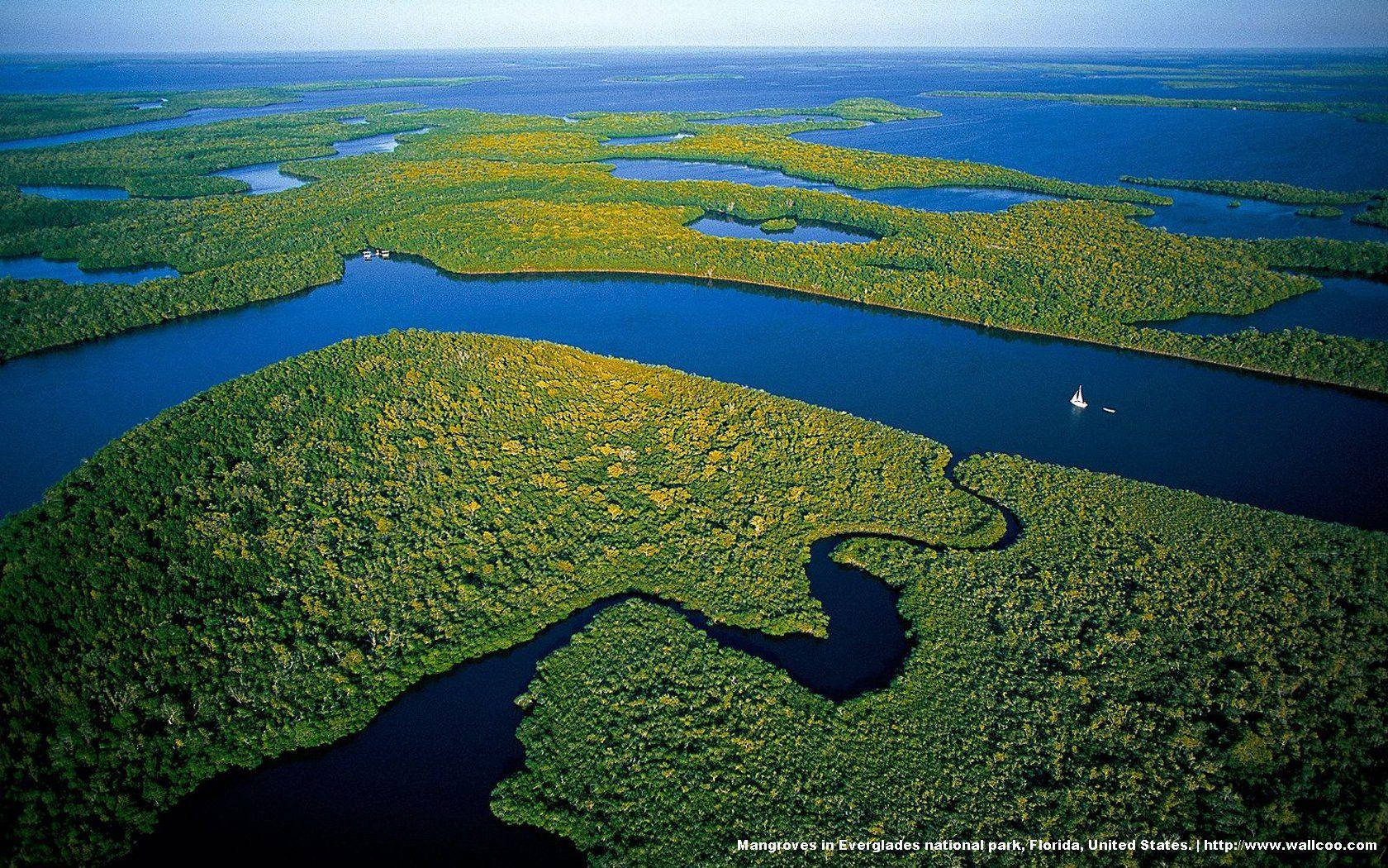 Aerial Shot Of Everglades National Park