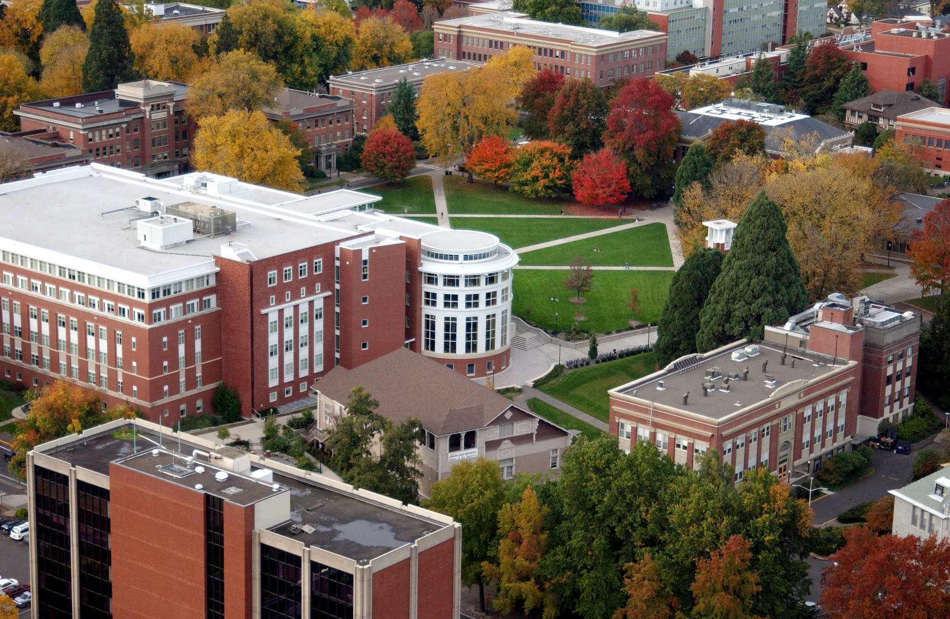 Aerial Shot Of Oregon State University Background