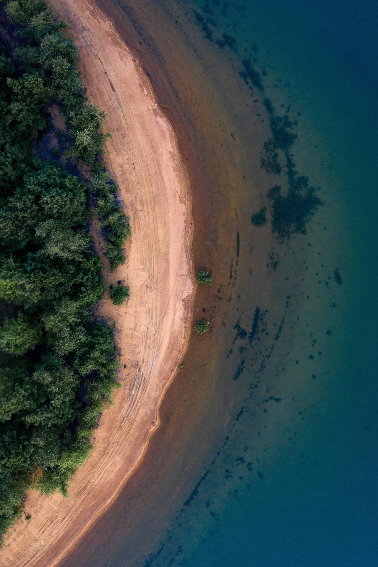 Aerial View Of A Beach With Trees And A Sandbar Background