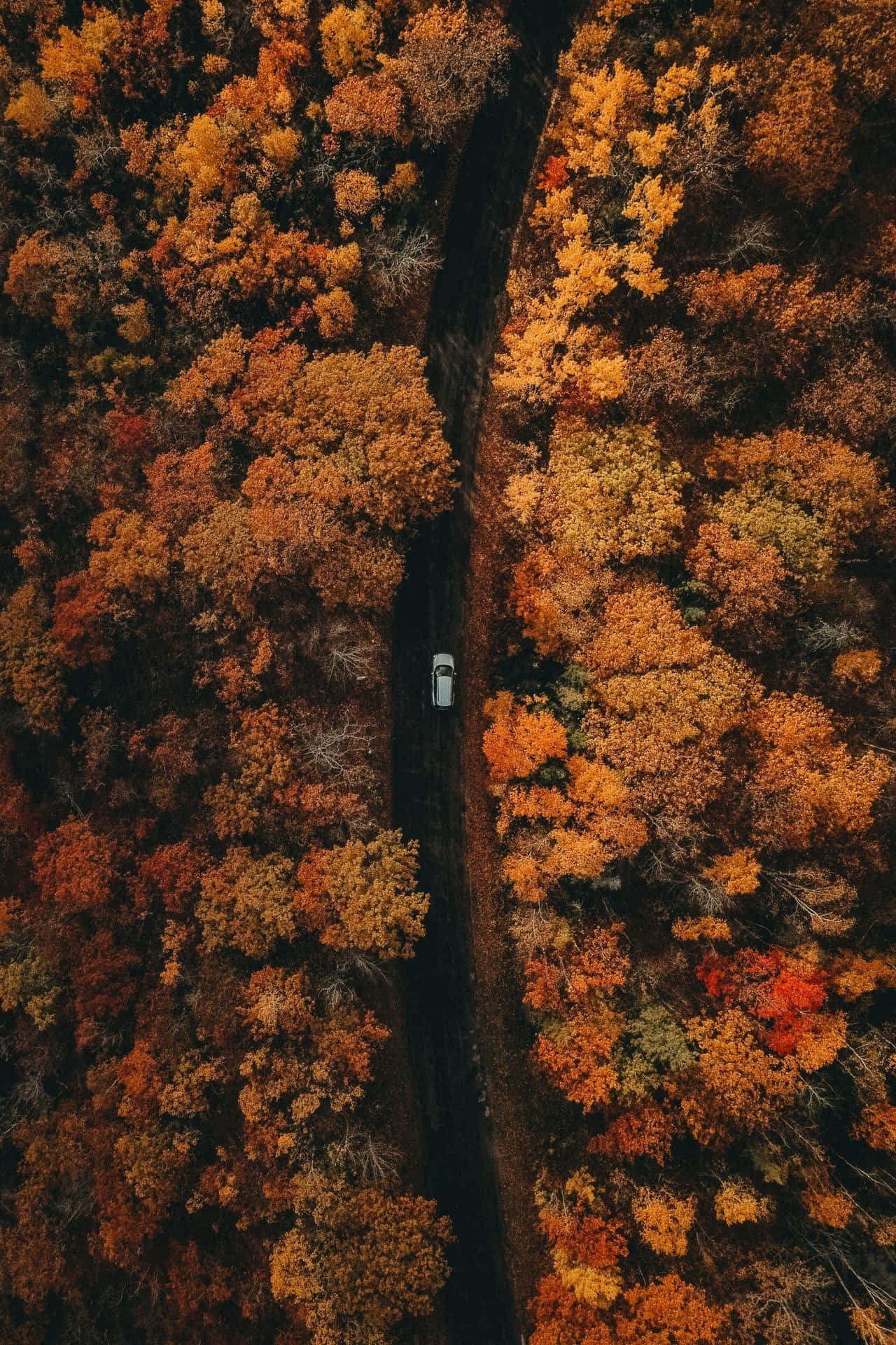 Aerial View Of A Car Driving Through The Autumn Forest Background