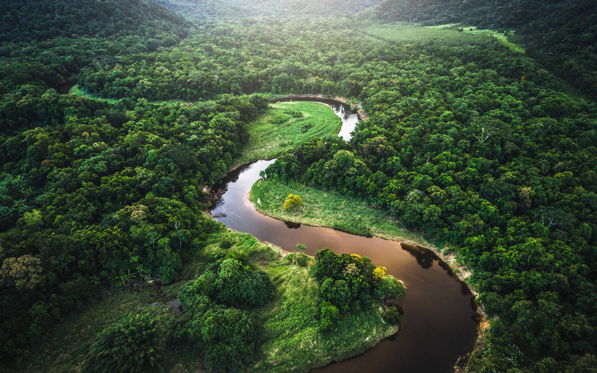 Aerial View Of Amazonas River