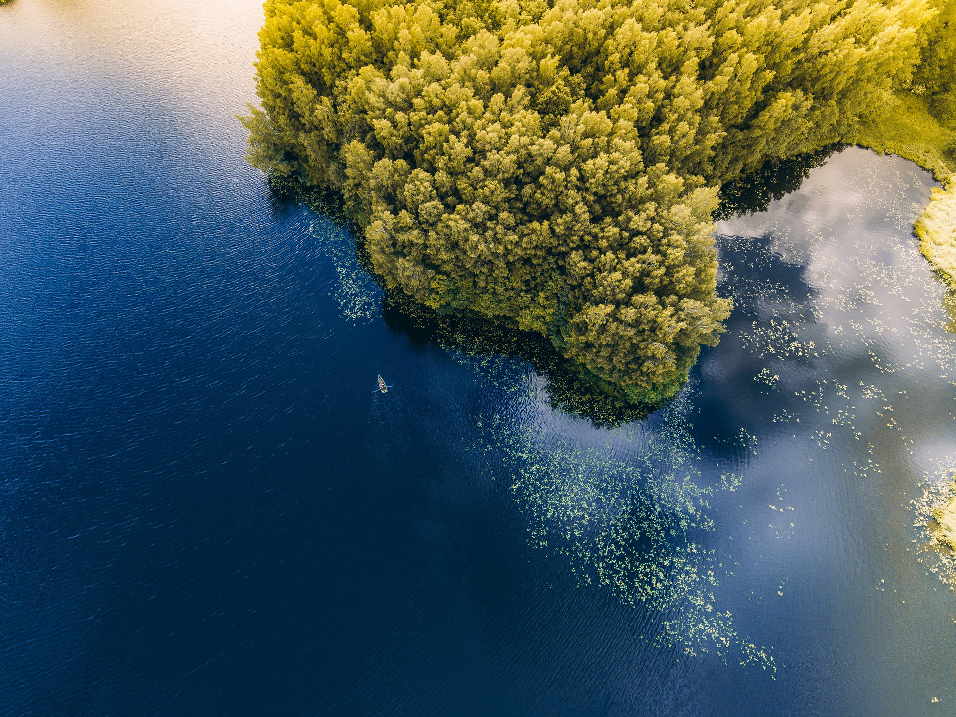 Aerial View Of Trees Near Water In Lithuania Background