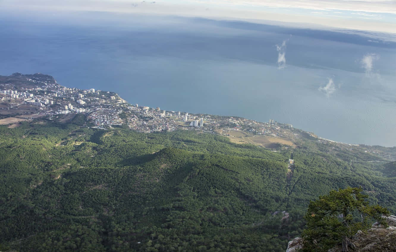 Aerial View Of Yalta Coastline