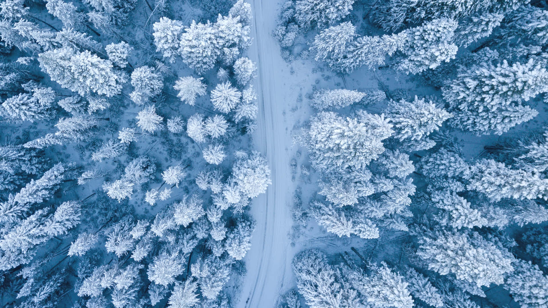 Aerial View Winter For Laptop Background