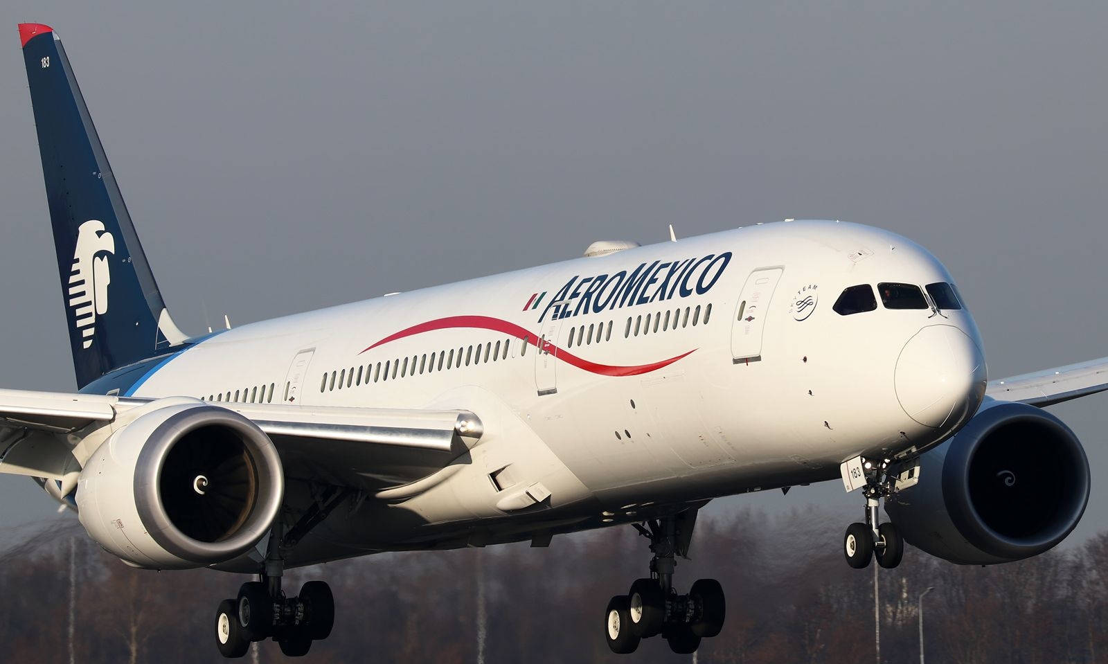 Aeromexico Airline Boeing 777-200lr Plane Background