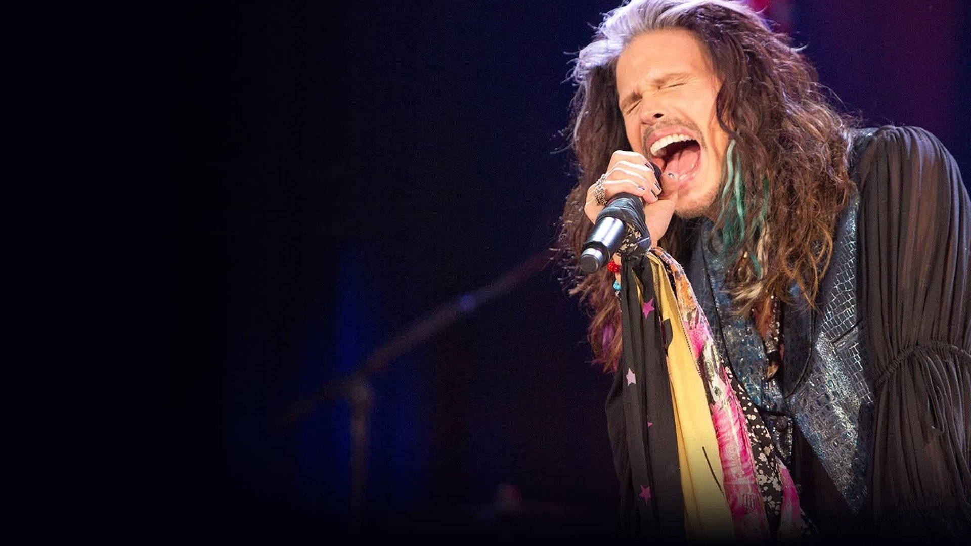 Aerosmith Band Rock Artist Steven Tyler