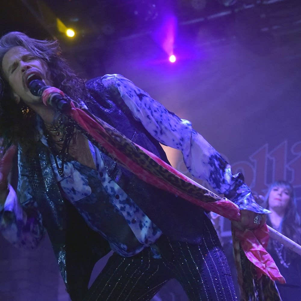 Aerosmith Rock Band Steven Tyler Live Concert