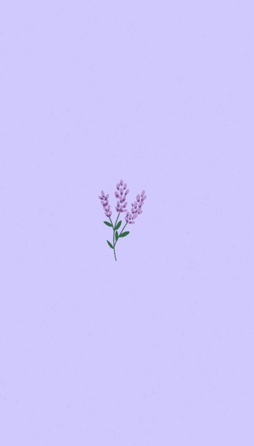 Aesthetic And Beautiful Purple Flower Background