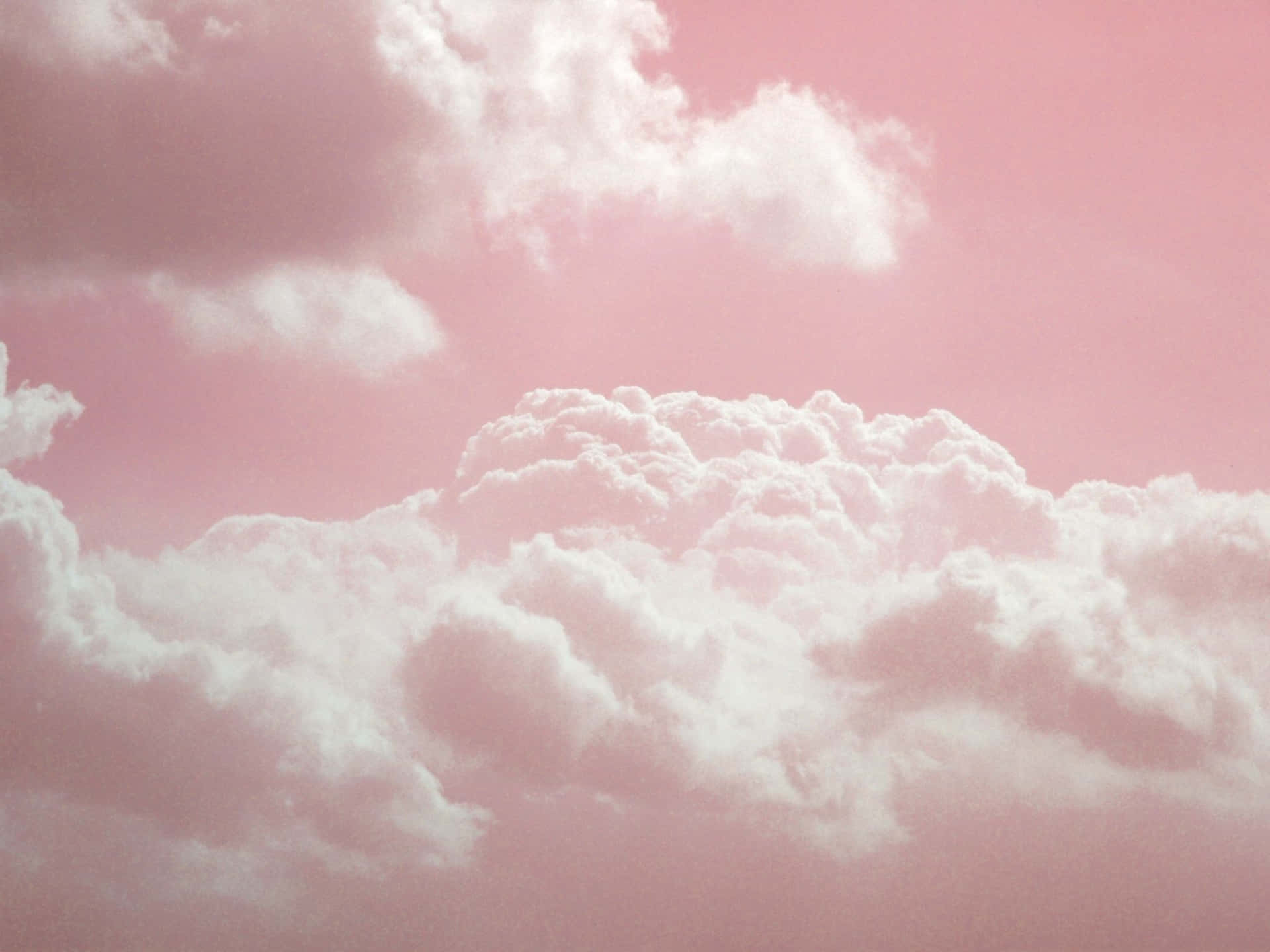 Aesthetic And Minimalist