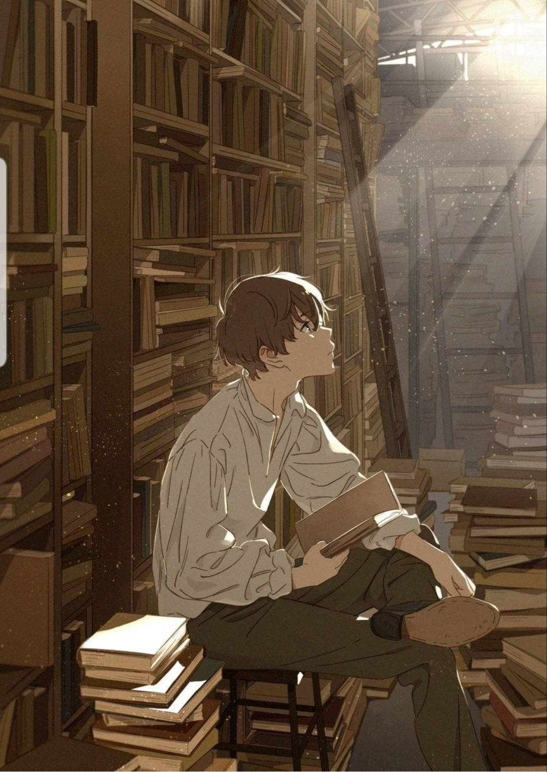 Aesthetic Anime Boy Books Library Background