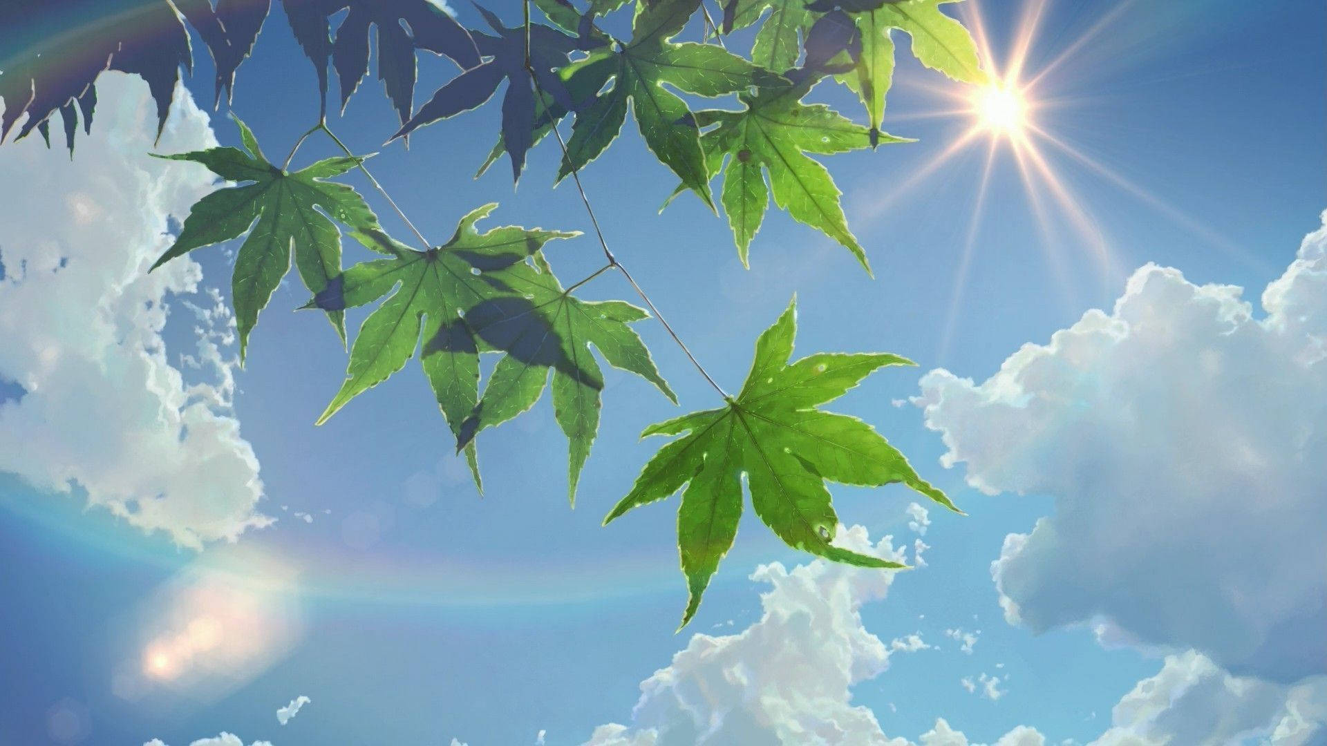 Aesthetic Anime Scenery Of Green Leaves Background
