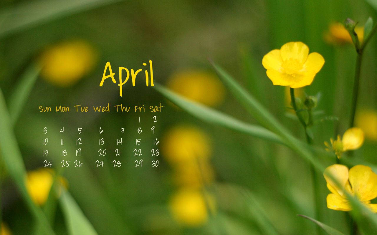 Aesthetic April Background