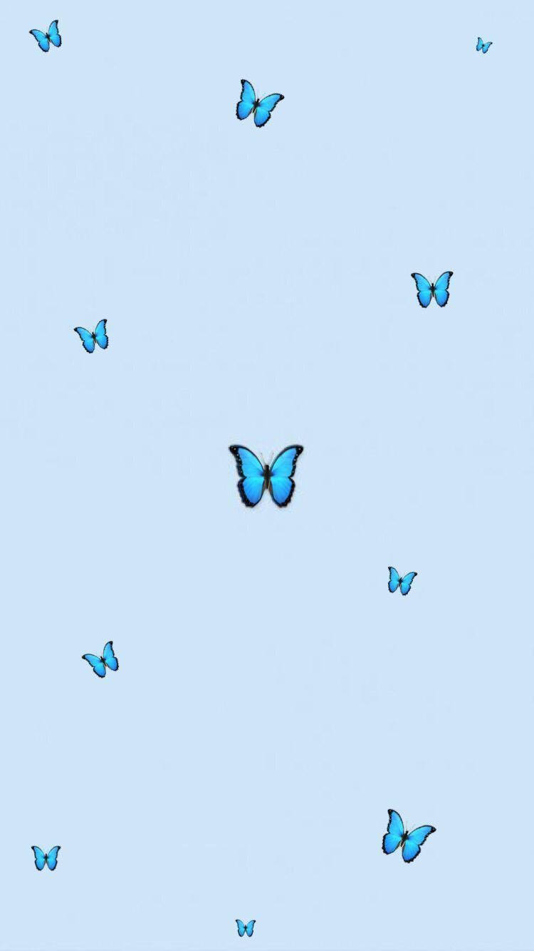Aesthetic Baby Blue Butterflies Background