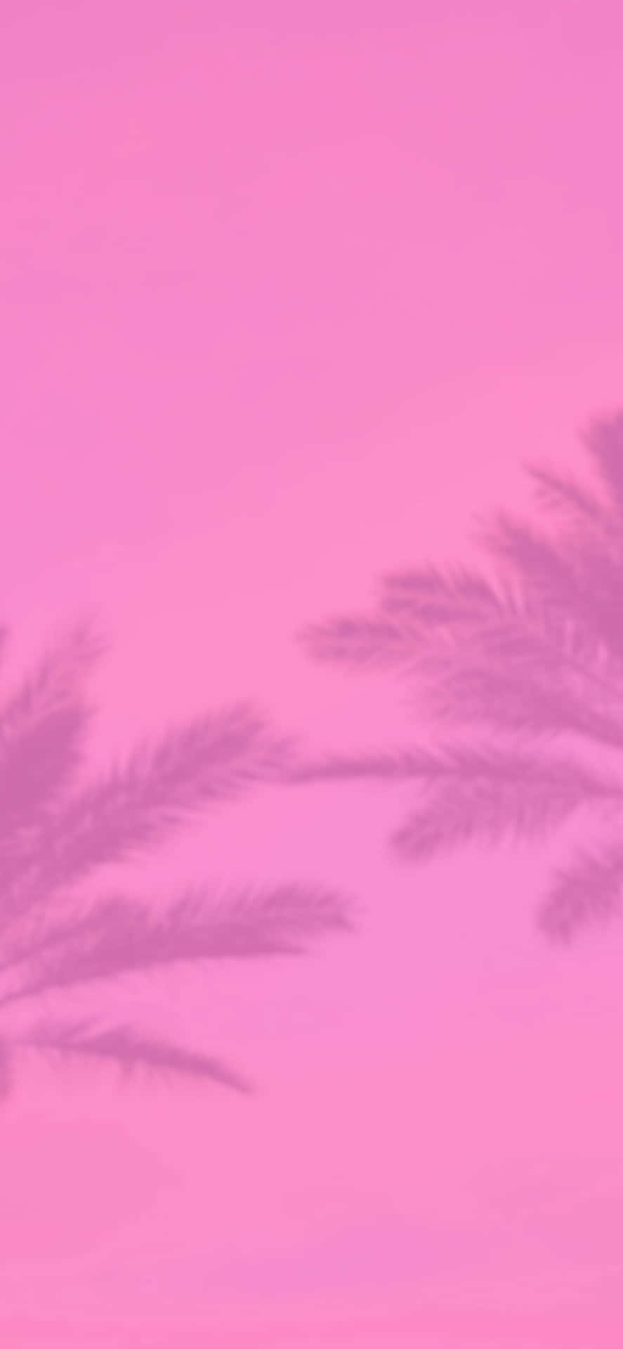 Aesthetic Baby Pink And Palm Trees Background