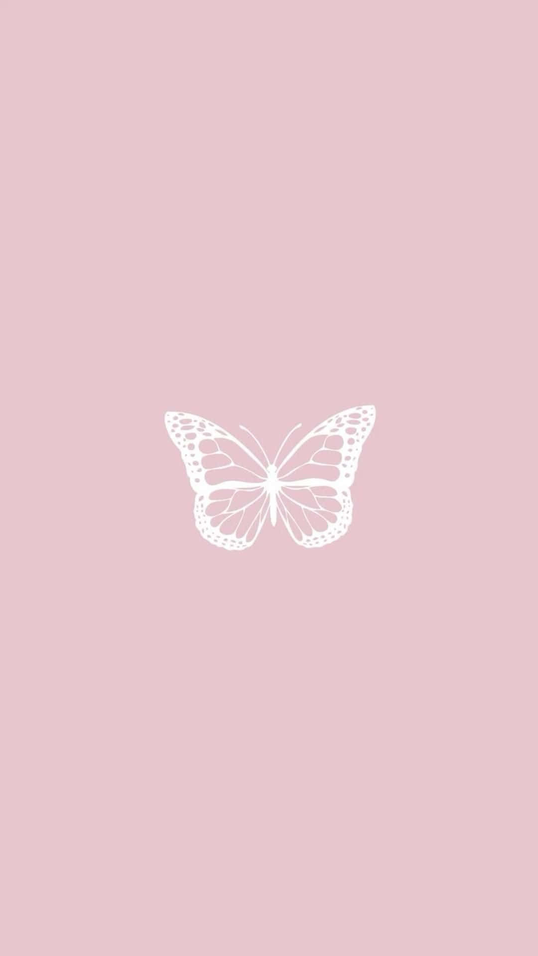 Aesthetic Baby Pink Butterfly Background