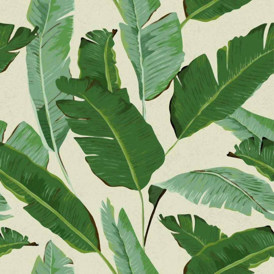 Aesthetic Banana Leaf Digital Art Background